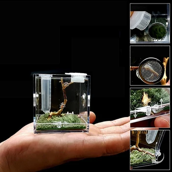1 komplet Mali Pauk Mravlja Farme Insekata Prozračni Terariju Prozirna Kutija za uzgoj Gmazova Akril Prikupljene Eko Kutija