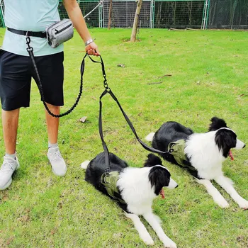 Dvostruki remen za trčanje za pse, светоотражающая poligon hodanje, meke olovke za 2 psa, веревочные vodilice-bungee struka s torbom na otvorenom