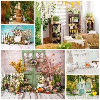 Proljeće Uskrs фотофон, jaja, фотозона, drvena vrata, Zelena trava, cvijet, pozadina za tuširanje djeteta za snimanje, studio fotografija